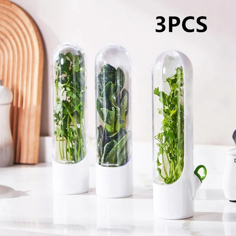 1/2/3 peças recipiente de armazenamento de ervas frescas, recipiente de preservação de vegetais de baunilha, garrafa para geladeira e cozinha