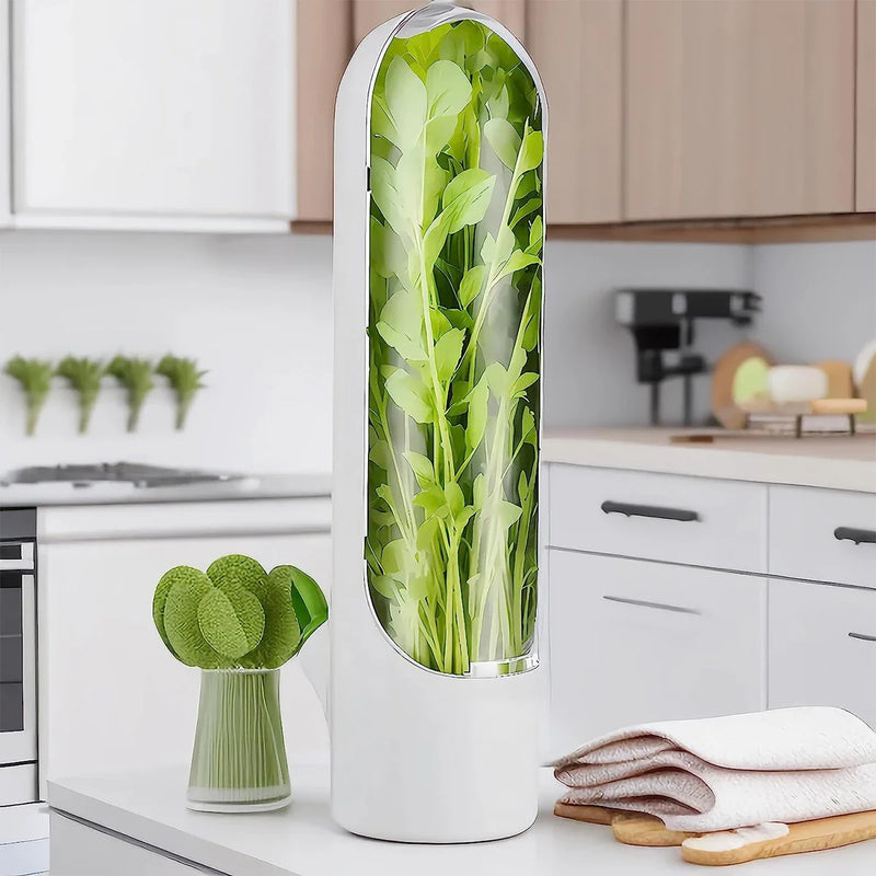 1/2/3 peças recipiente de armazenamento de ervas frescas, recipiente de preservação de vegetais de baunilha, garrafa para geladeira e cozinha