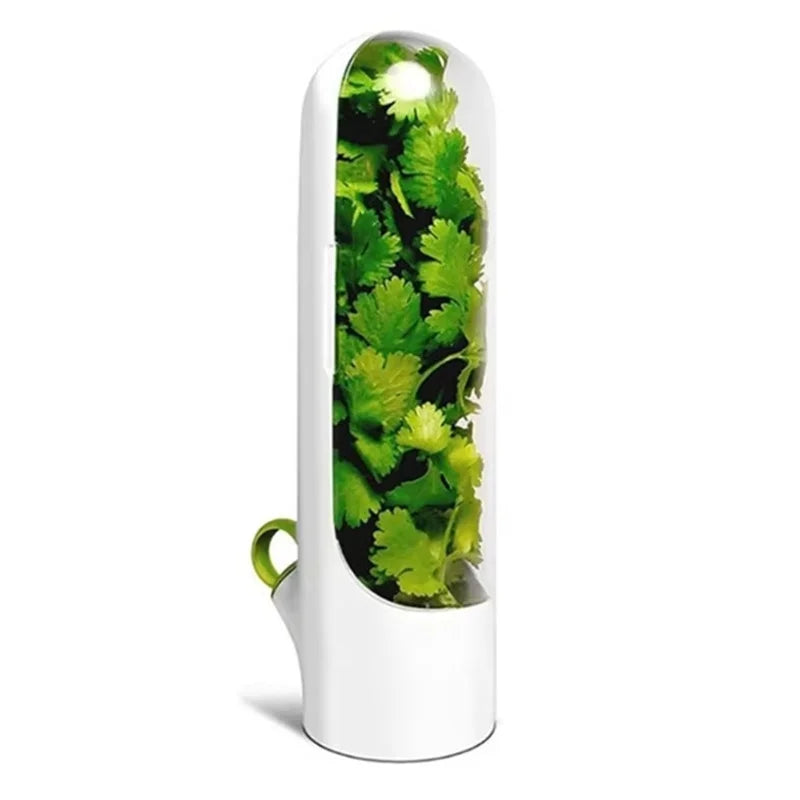 1/2/3 peças recipiente de armazenamento de ervas frescas, recipiente de preservação de vegetais de baunilha, garrafa para geladeira e cozinha