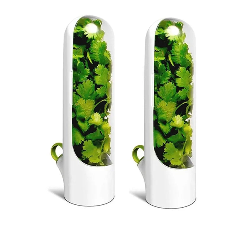 1/2/3 peças recipiente de armazenamento de ervas frescas, recipiente de preservação de vegetais de baunilha, garrafa para geladeira e cozinha