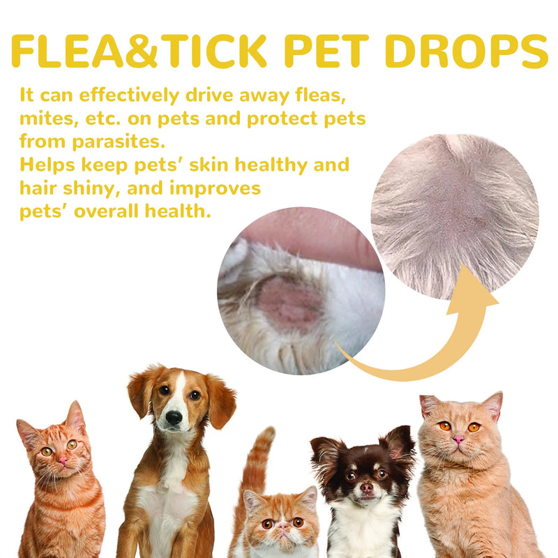 Gotas antipulgas para gatos, remove pulgas e piolhos, alivia coceira na pele, repelente externo de insetos, suprimentos para desparasitação, gotas para tratamento de carrapatos de animais de estimação
