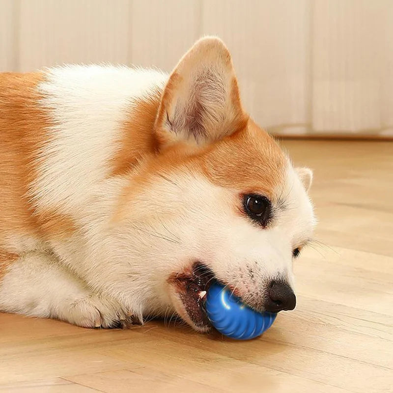Bola de brinquedo para cachorro com movimento automático, USB inteligente, giratória e interativa para mastigar, para filhotes
