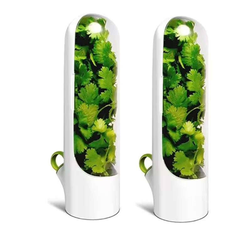 1/2/3 peças recipiente de armazenamento de ervas frescas, recipiente de preservação de vegetais de baunilha, garrafa para geladeira e cozinha