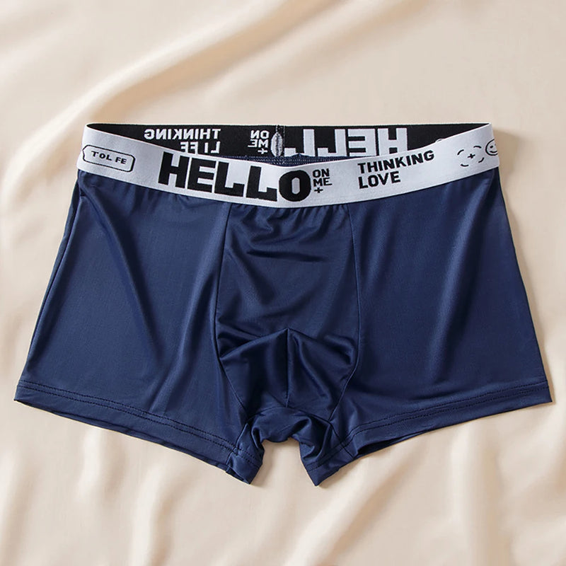 5 pçs/lote Boxer Shorts Seda Gelo Roupa Interior Masculina Verão Cuecas Respiráveis U Convexo Lingerie Respirável Calcinha Sexy