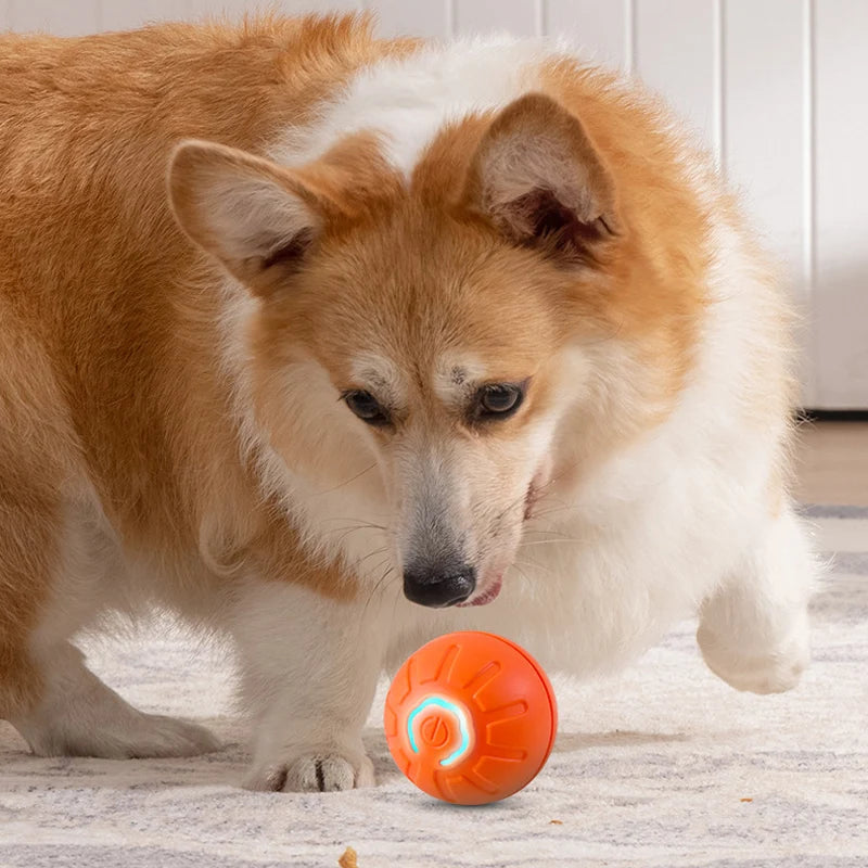 Bola de brinquedo para cachorro com movimento automático, USB inteligente, giratória e interativa para mastigar, para filhotes