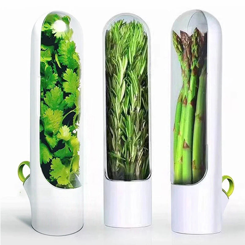 1/2/3 peças recipiente de armazenamento de ervas frescas, recipiente de preservação de vegetais de baunilha, garrafa para geladeira e cozinha