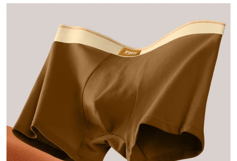 3 peças Cuecas Masculinas Boxer de Algodão Cueca Masculina Boxer Respirável U Convexo Cuecas Masculinas Sexy Trunks