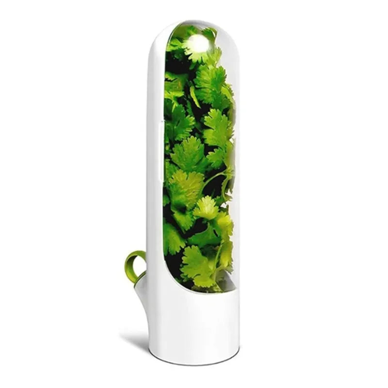 1/2/3 peças recipiente de armazenamento de ervas frescas, recipiente de preservação de vegetais de baunilha, garrafa para geladeira e cozinha