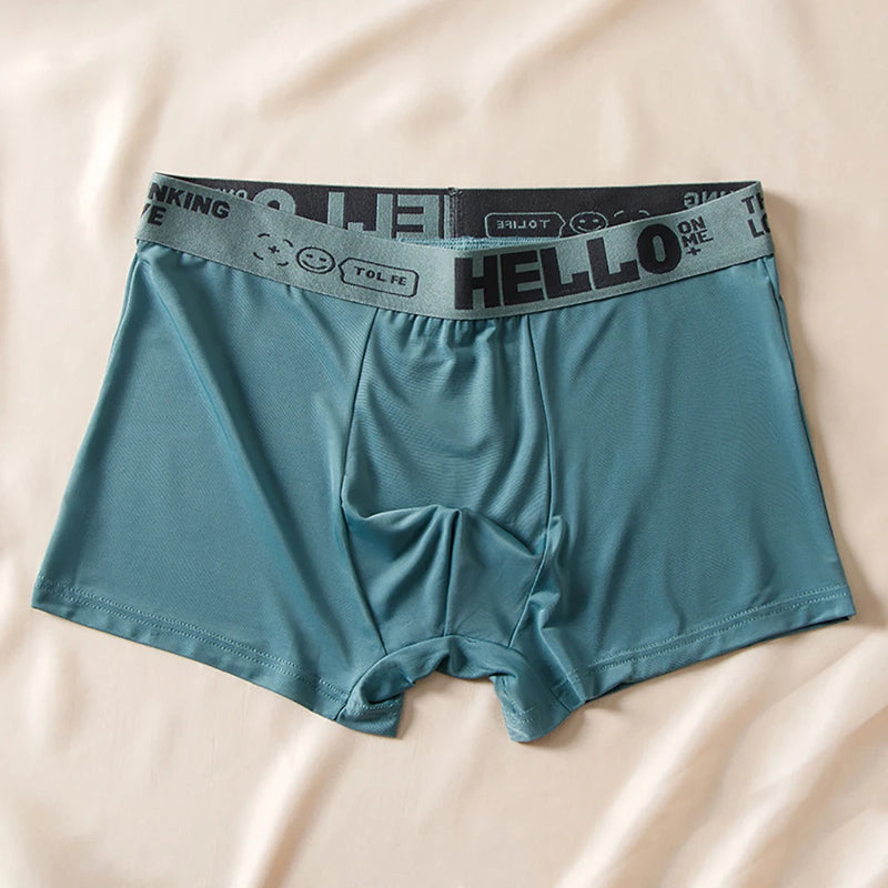 5 pçs/lote Boxer Shorts Seda Gelo Roupa Interior Masculina Verão Cuecas Respiráveis U Convexo Lingerie Respirável Calcinha Sexy