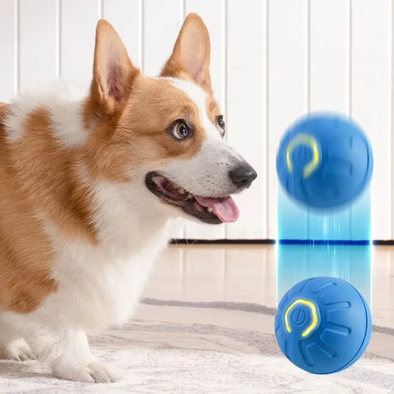 Bola de brinquedo para cachorro com movimento automático, USB inteligente, giratória e interativa para mastigar, para filhotes
