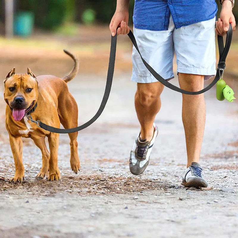 Coleira para cães e gatos, coleira com guia